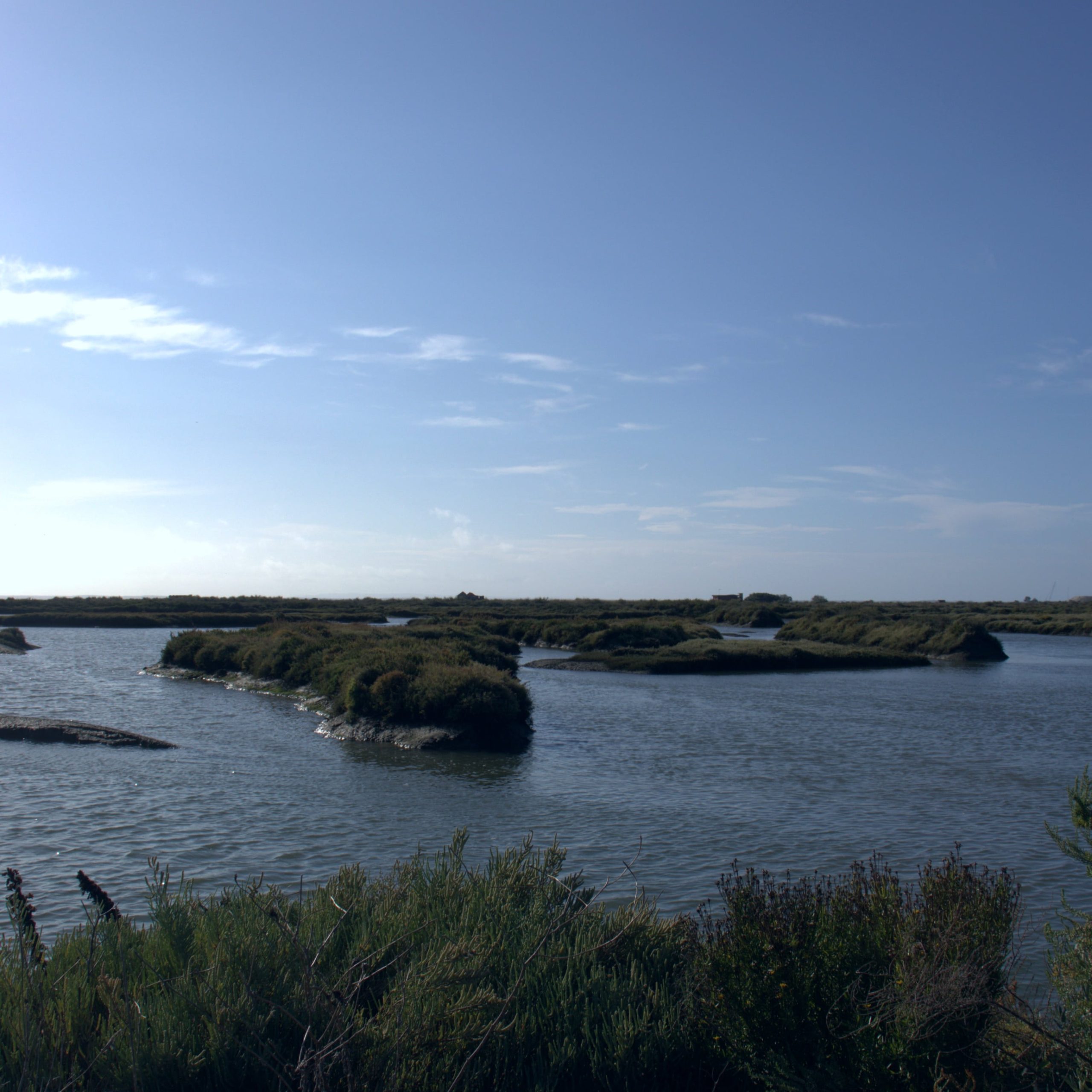 PURPOSE A calm water landscape with small islands covered in green vegetation under a clear blue sky.
